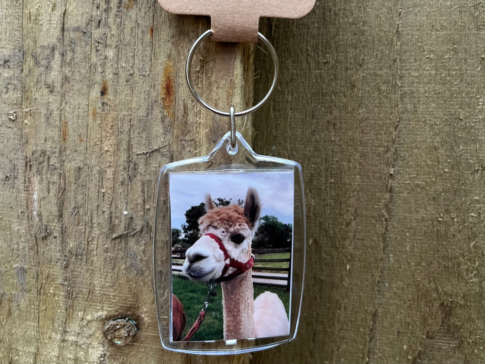 keyring alpaca